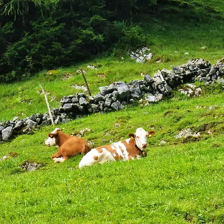 Salzkammergut Huette Nyaraló